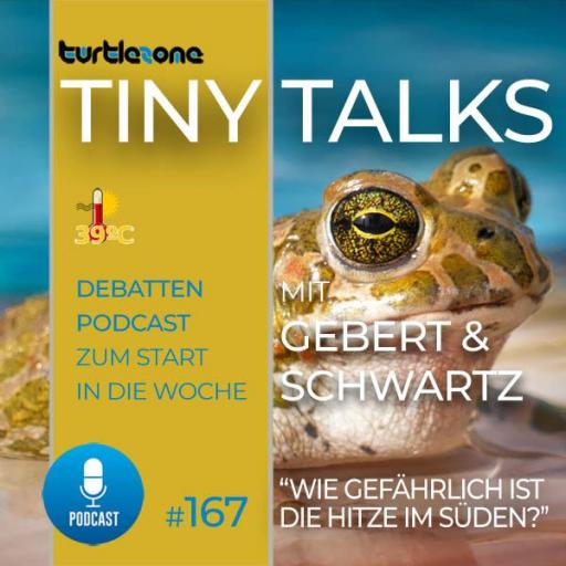 Turtlezone Tiny Talks - Episode 167