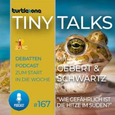 Turtlezone Tiny Talks - Episode 167