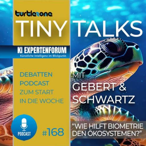 Turtlezone Tiny Talks - Episode 168