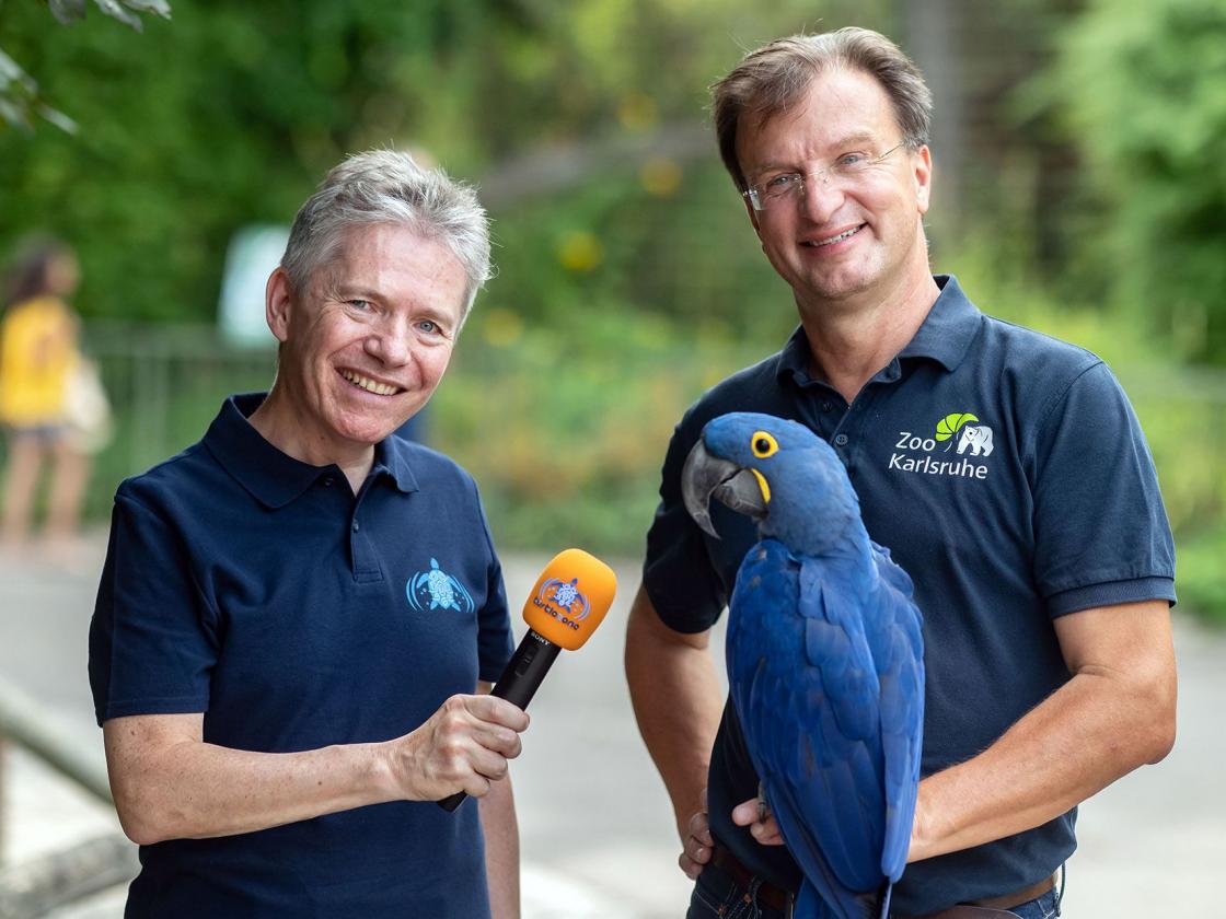 Dr. Matthias Reinschmidt im Interview